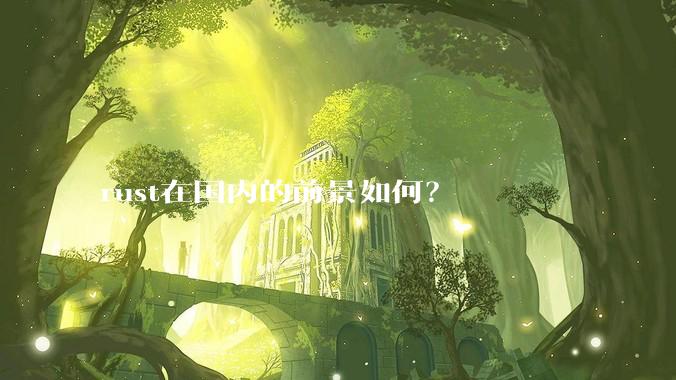 rust在国内的前景如何？